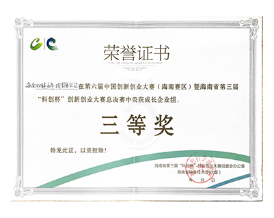 公司荣誉